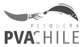 logo-pvachile